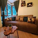 Apartment Alpine Pamporowo