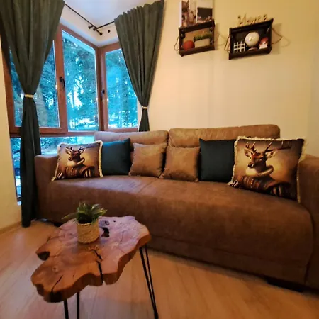 Διαμέρισμα Alpine Παμπόροβο