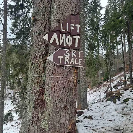 Apartment Alpine
