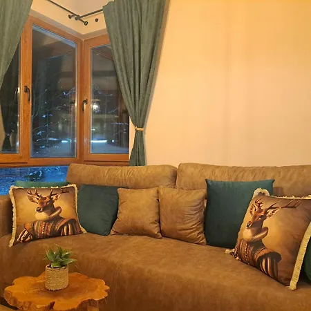 Apartment Alpine Pamporowo