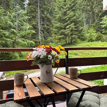 Apartment Alpine