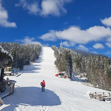 Alpine Pamporovo