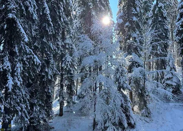 Διαμέρισμα Alpine Παμπόροβο