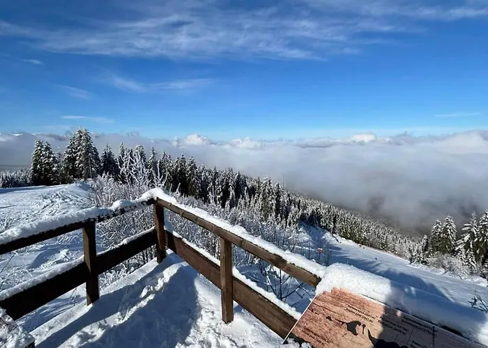 Alpine Παμπόροβο