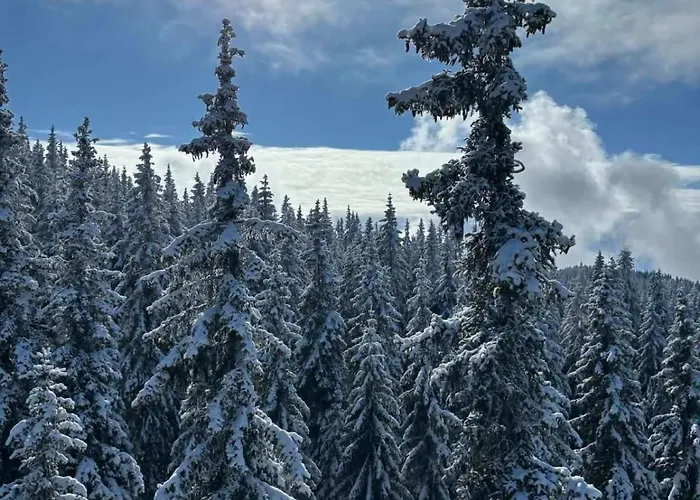 Διαμέρισμα Alpine